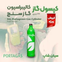 سیلندر گاز مخصوص کالیبره گازسنج BW Max XT II مدل PortaGreen