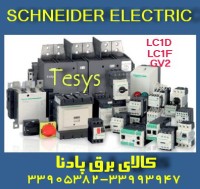 فروش محصولات اصلی تله مکانیک اشنایدر